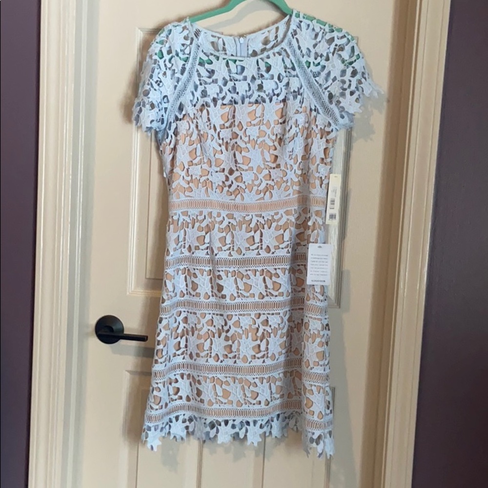 NWT Eliza J Lace Overlay Sheath Dress
